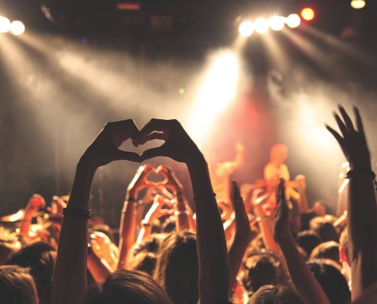 Fans at a music concert