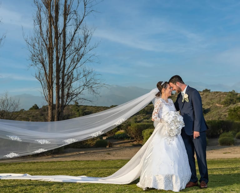 a bride and groom kissing in a field