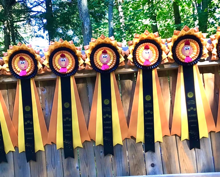 Dindons! approx. 9'' de large et 24'' de long total.