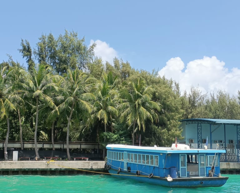 maldives palmiers eau