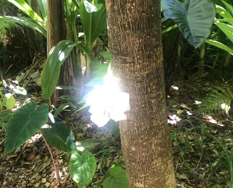 emploie des contes en italien pour développer les compétences linguistiques en italien et créativité