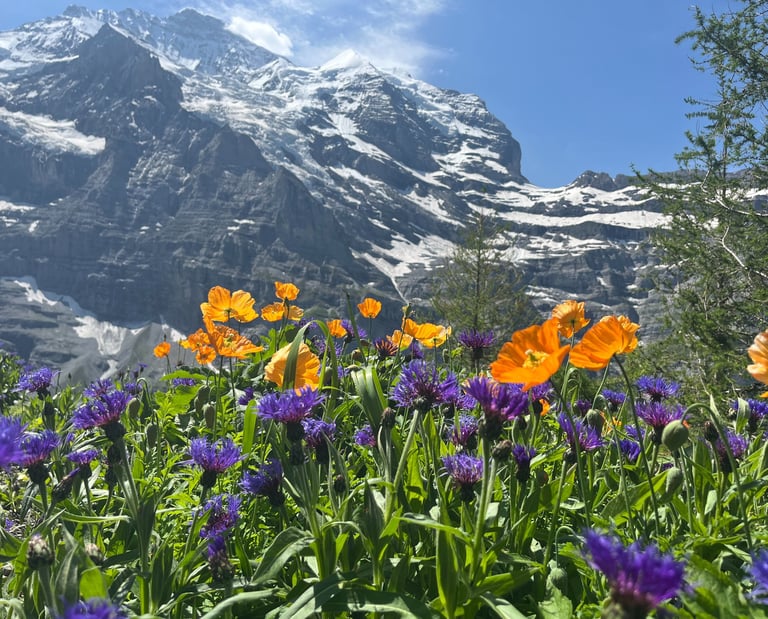 Jungfrau with flowers in the foreground