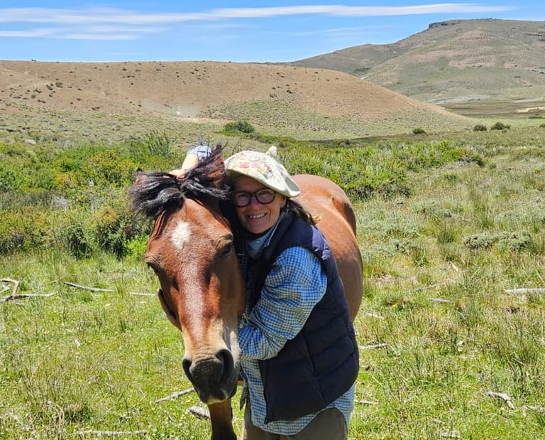 A person hugging a horse in a grassy field with hills in the background.