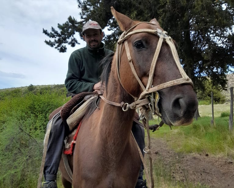 A person on horseback in a wooded area.