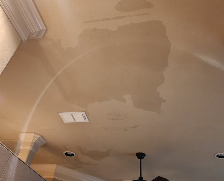 ceiling-damage-brushy-creek