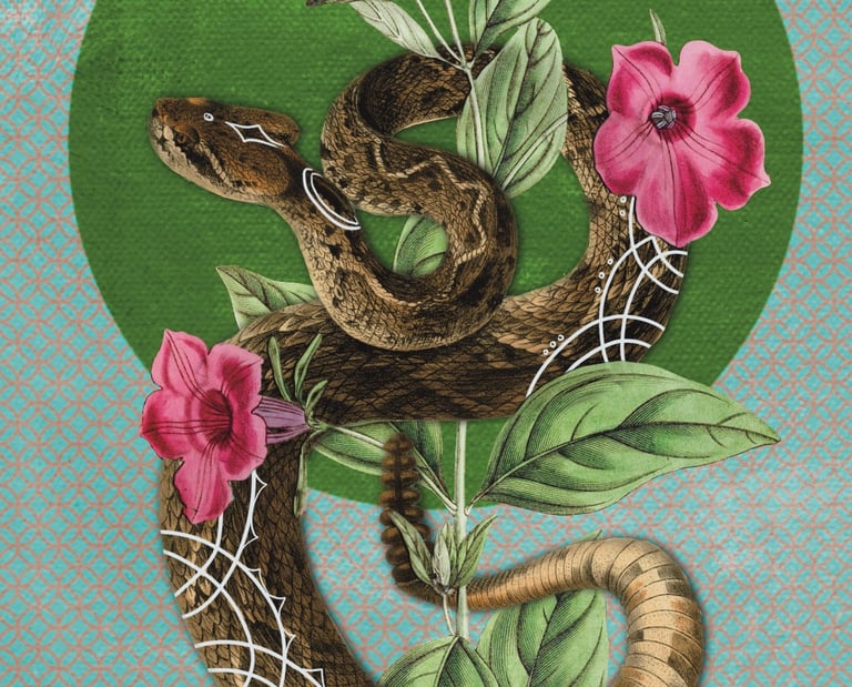 Ace of Earth, Wise Earth Medicine Tarot