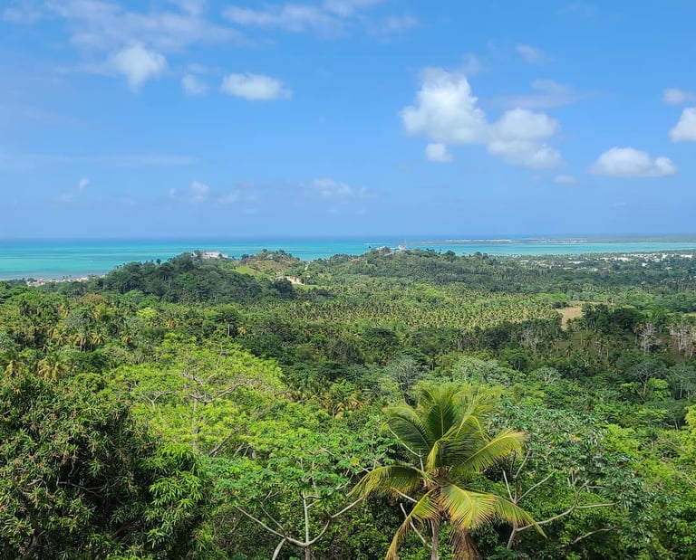 Vista Serena: The Reference Estate for Investing in Miches