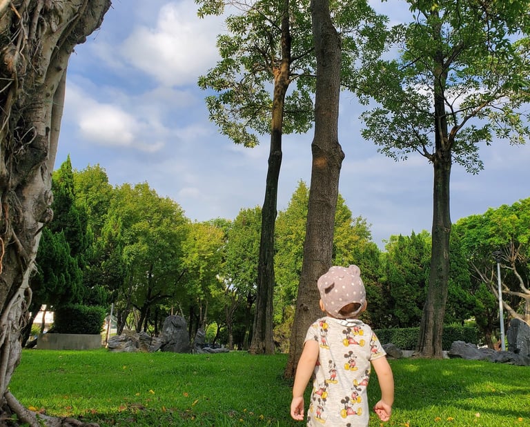 A toddler in a hat standing on green grass looking up at tall trees in a sunny outdoor park.