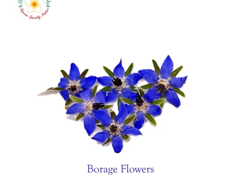 Borage Flowers