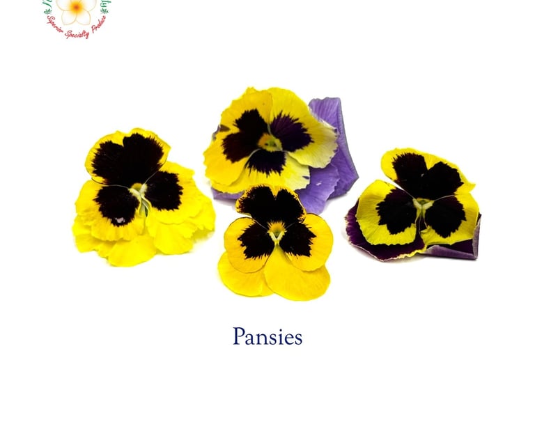 Pansies