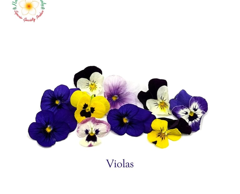 Violas