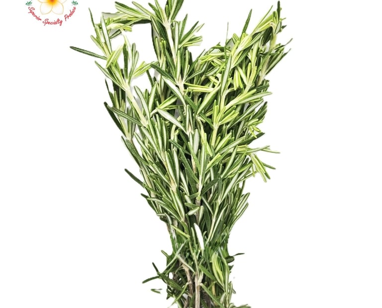Fresh Rosemary