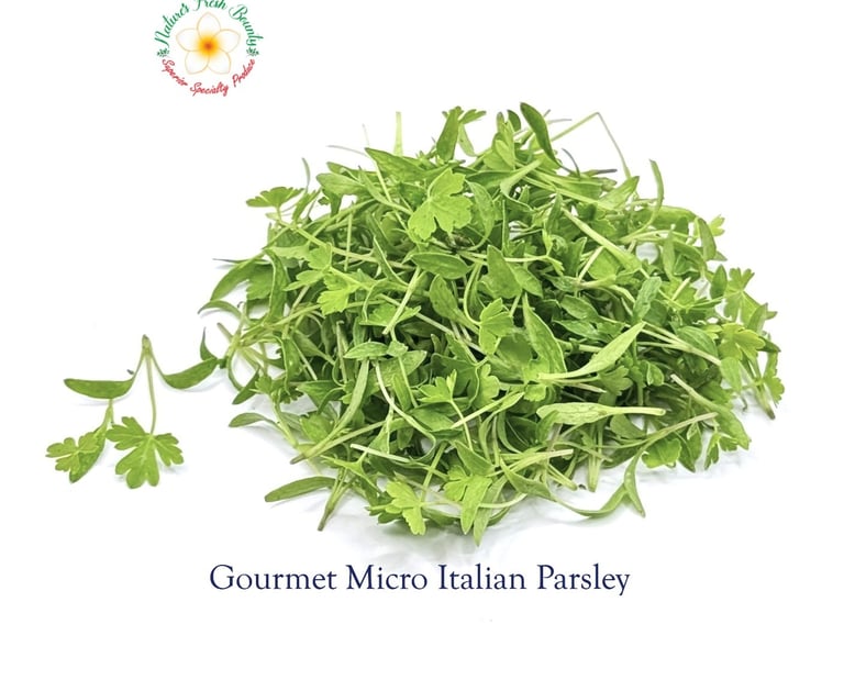 Gourmet Micro Italian Parsley