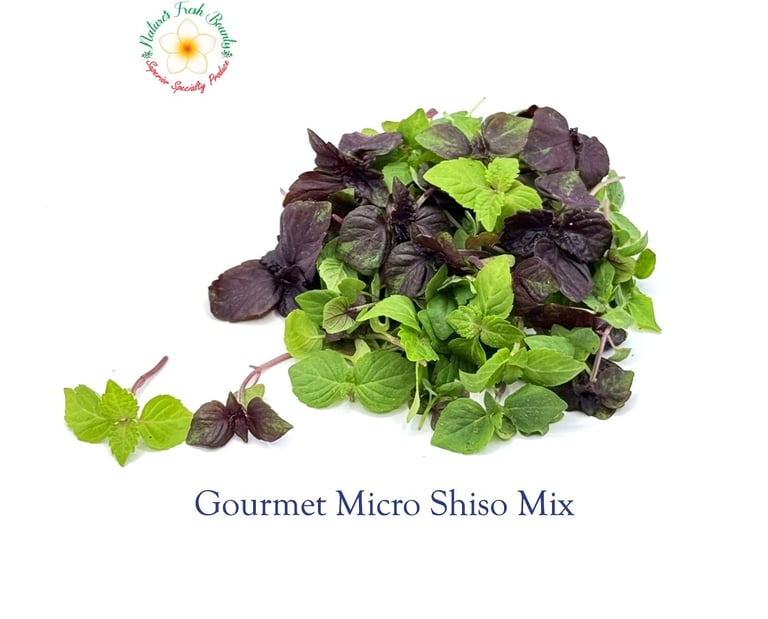 Gourmet Micro Shiso Mix