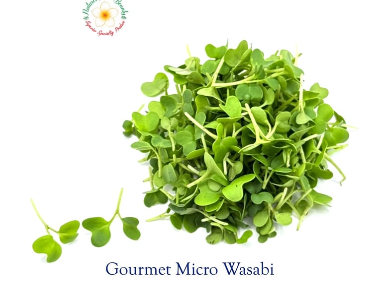 Gourmet Micro Wasabi