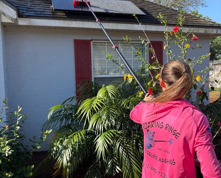solar panel cleaning company