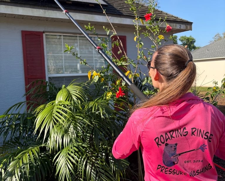 solar panel cleaning company