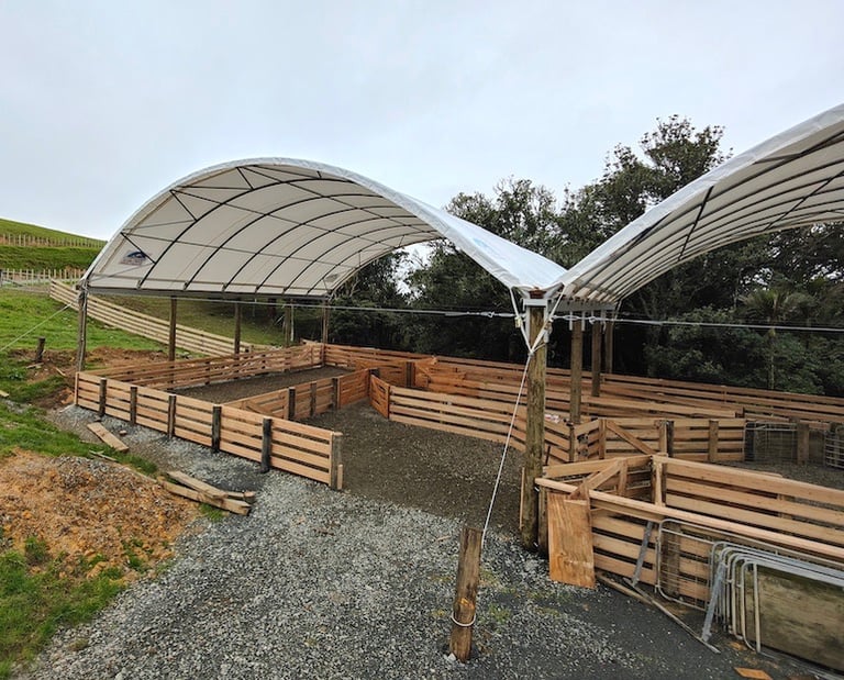 New build sheep yards - CHR Builders