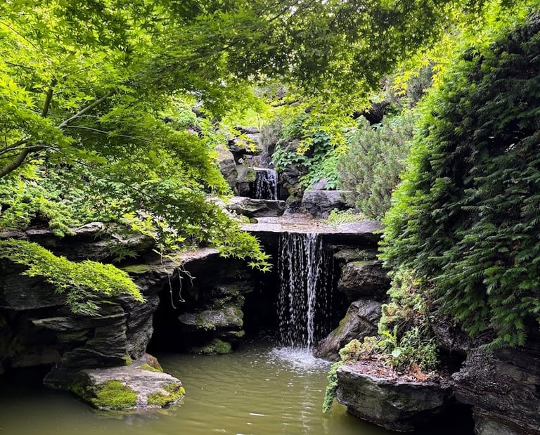 A peaceful waterfall cascades into a pond surrounded by lush greenery, helping one's mental health.