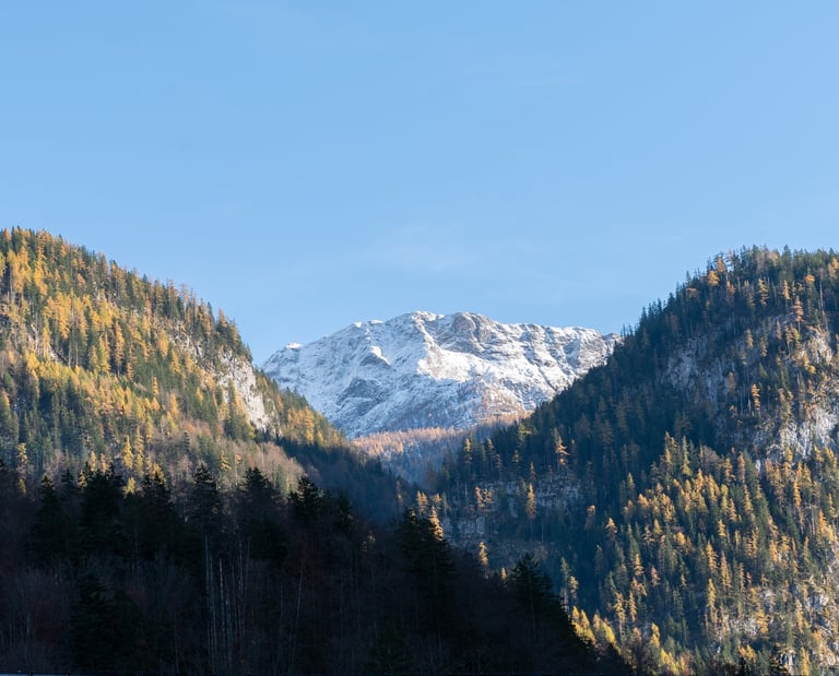 Vuorimaisema luonnossa kirkkaassa säässä