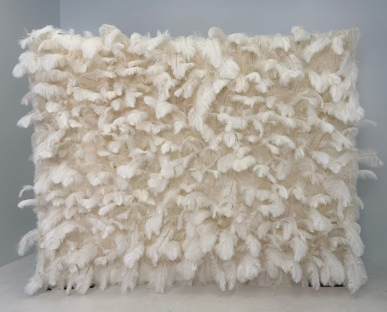 Plunksnų foto siena, plunksnų foto sienelė, foto siena gimtadieniui, isskirtine foto siena, dekoras