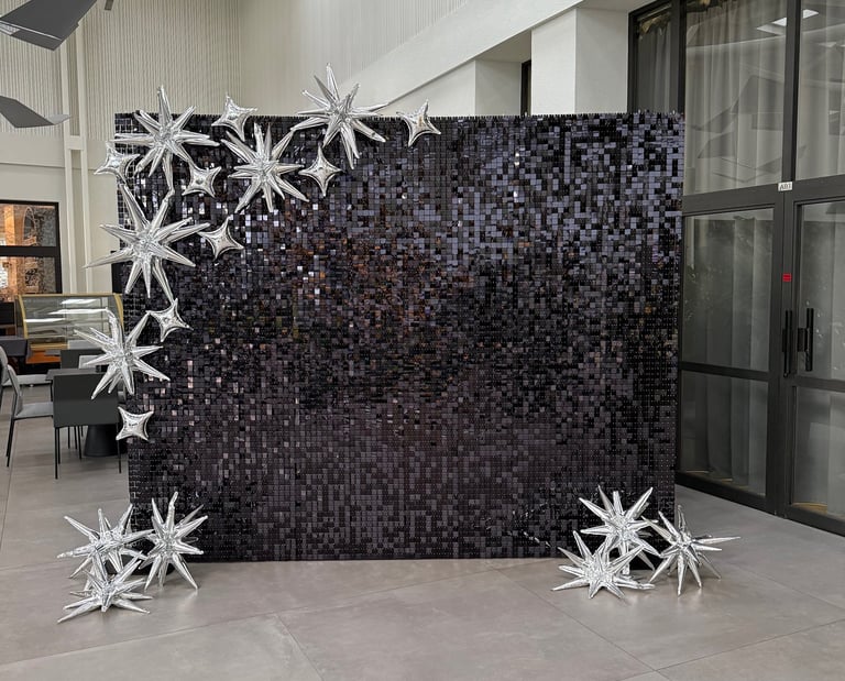 Juoda blizgi foto siena, foto siena vilnius, foto siena vilniuja, foto sieneles nuoma, foto sienele