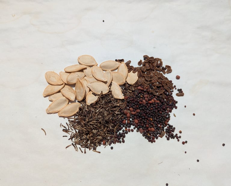 A collection of seeds