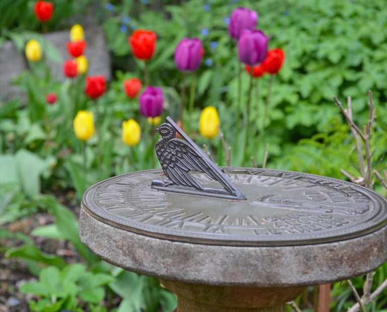 decorative sundial among tulips and garden greenery