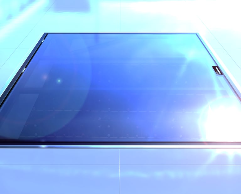 trap door - cellar door