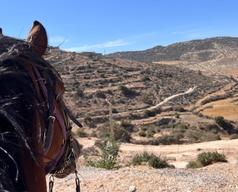 vue sur la vallée depuis le haut d'une petite montagne avec la tête d'un cheval