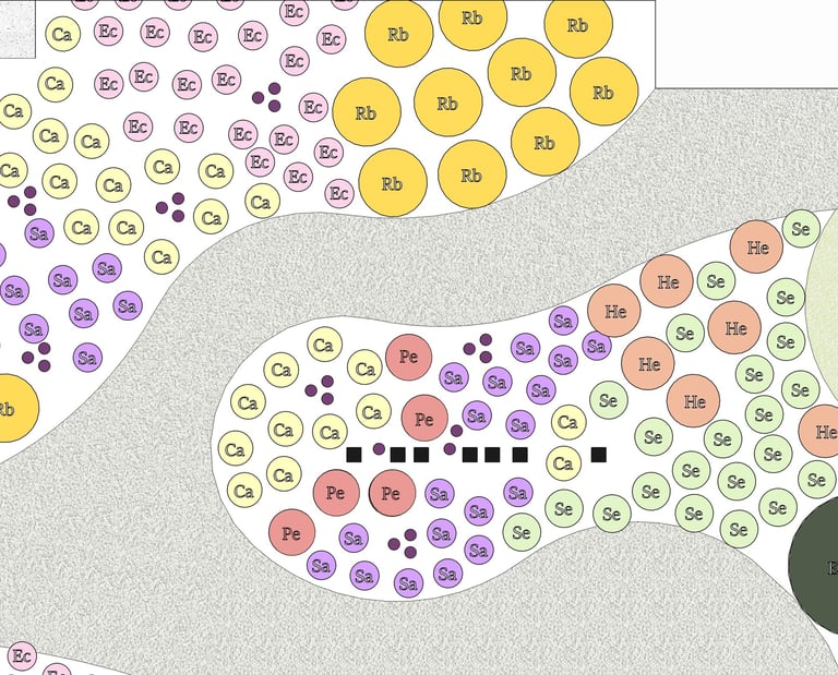 Bovenaanzicht van Beplantingsplan met duidelijke kleuren arcering per soort