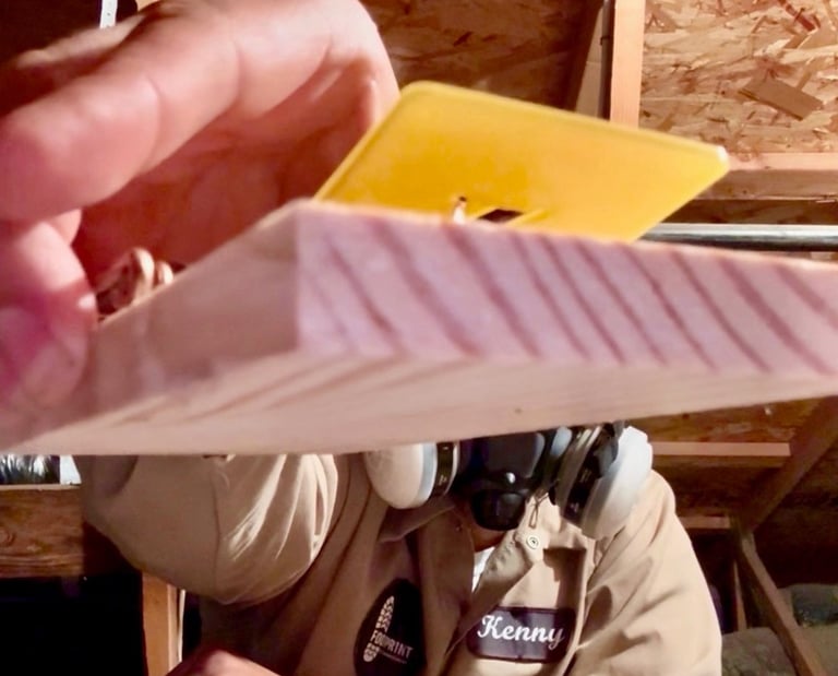 Rodent Control Services, attic trap inspection, Menifee, CA Footprint Pest Management