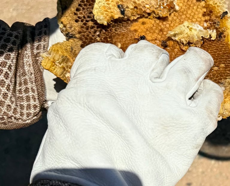 Pest Control Service in Menifee, Murrieta and Temecula Bee Treatment Footprint Pest Management
