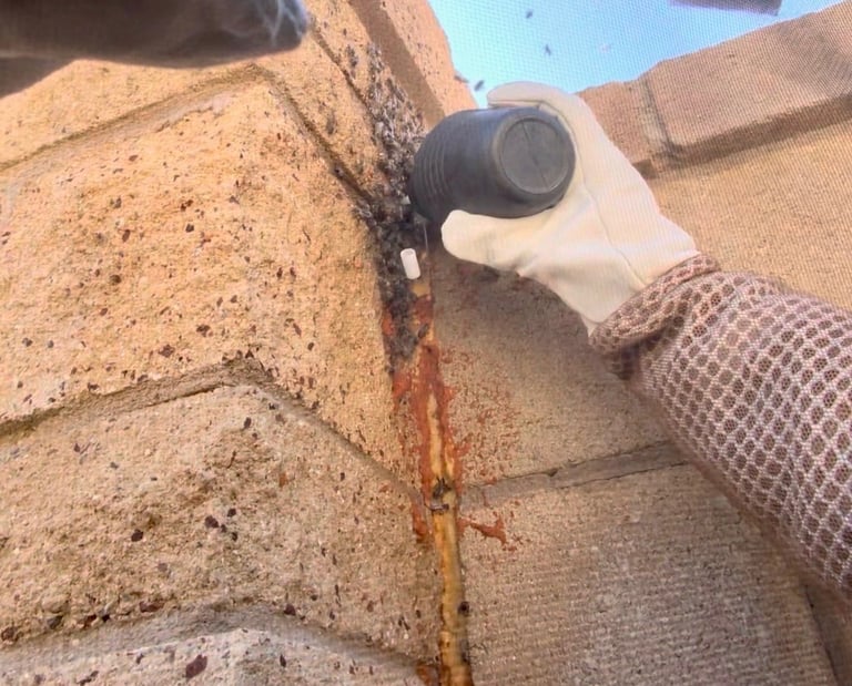 Bee treatment and control on block wall in Menifee CA Footprint Pest Management