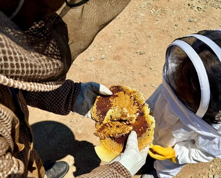 Bee treatment honeycomb removal in Menifee CA Footprint Pest Management
