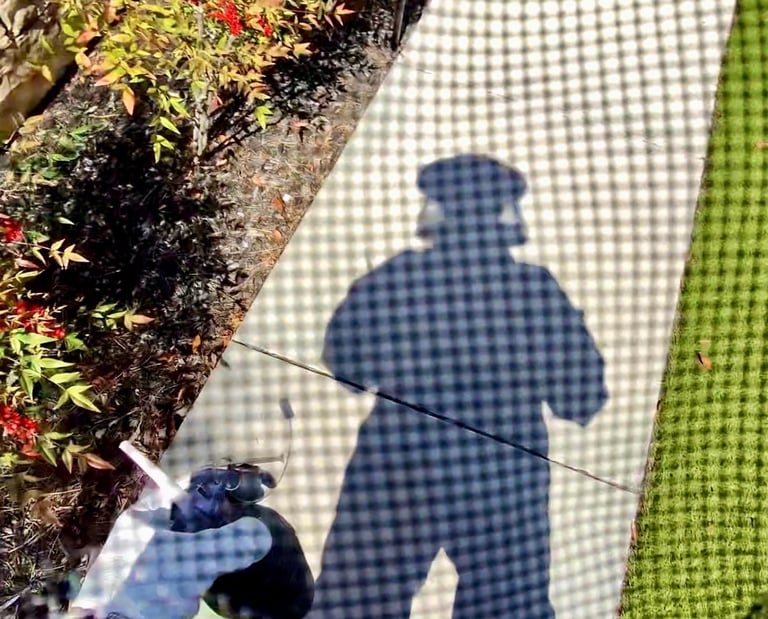 Bee treatment service in Menifee CA, Footprint Pest Management