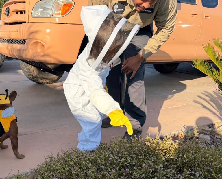 Family and pet friendly pest control service in Menifee, CA Footprint Pest Management - child education