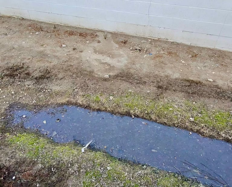 Mosquito control and treatment service standing water in Menifee CA