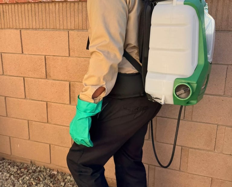 Residential exterior pest control in Menifee CA