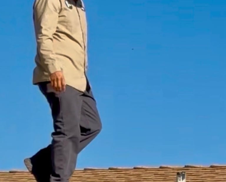 Rodent Trapping and Exclusion Roofline Inspection in Menifee Footprint Pest Management