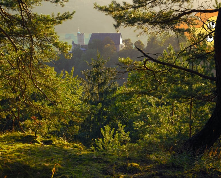 une flamme logo de MaxThomasBois qui tient un drapeau français a côté d'une cheminée