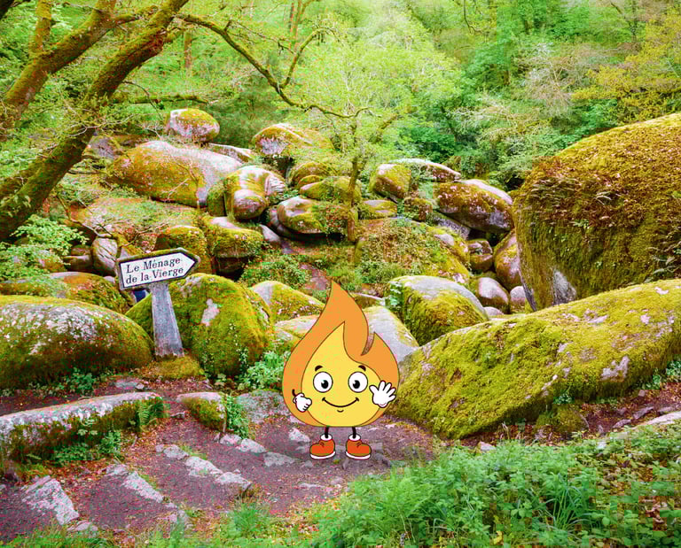 Maxima la flamme de MaxThomasBois présente et fais coucou pour dire qu'il y a du bois en Bretagne