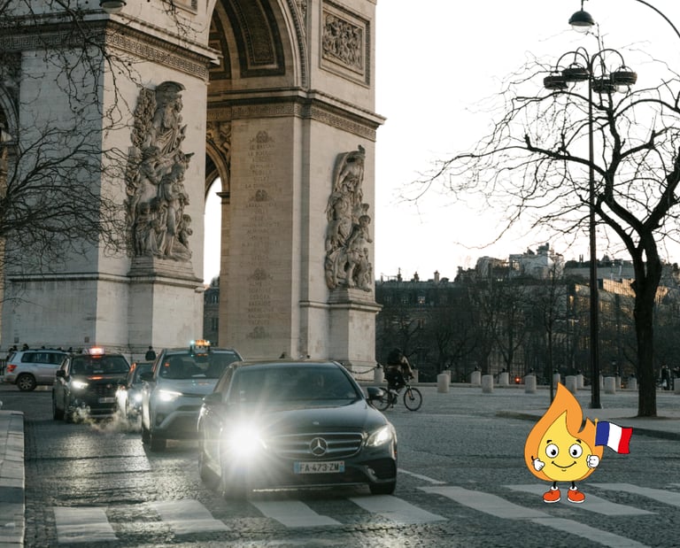 Maxima la petite flamme de MaxThomasBois se promène a Paris pour livrer du bois de chauffage