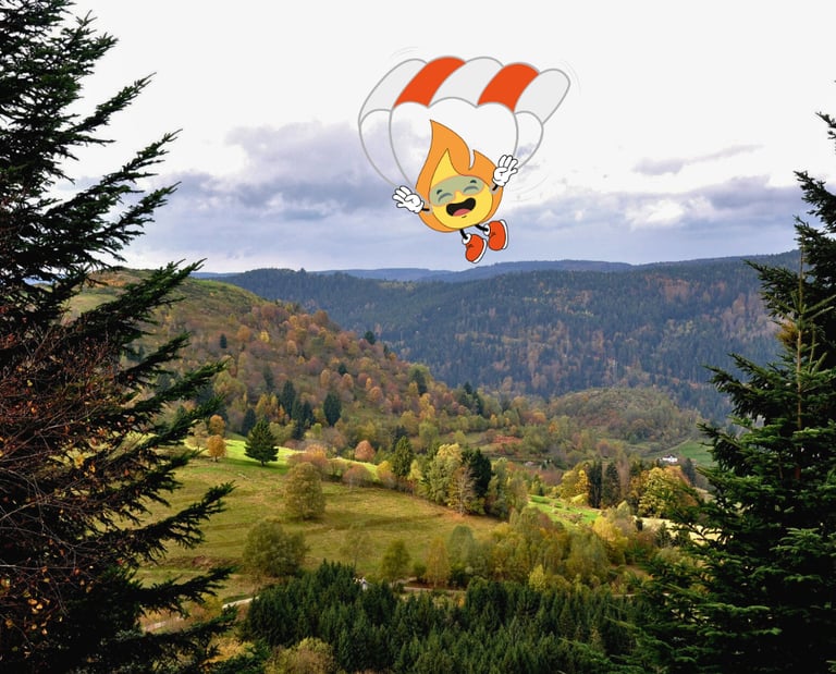 Flamme logo de MaxThomasBois qui fait du parachute pour livrer tout le bois de chauffageen Grand Est