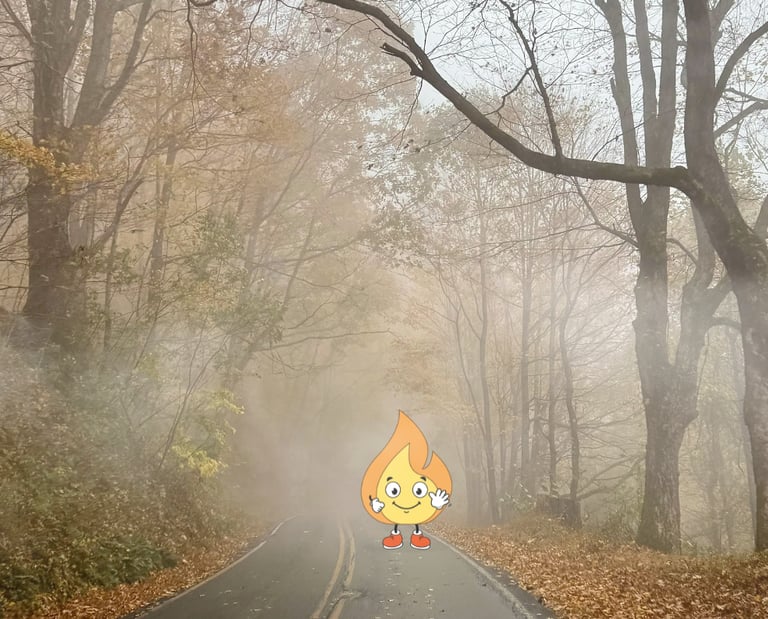 Logo de MaxThomasBois la petite flamme Maxima fais coucou dans la fôret