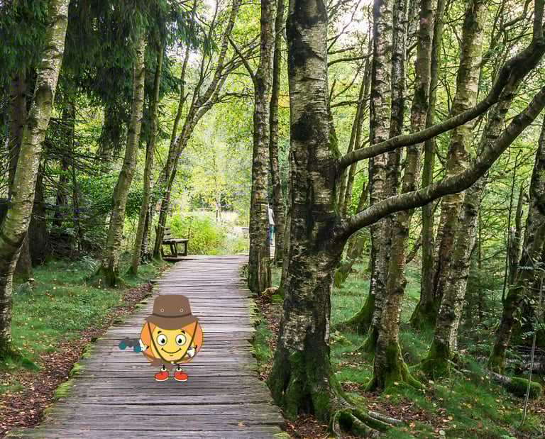 Maxima la flamme orange est à l'aventur pour vendre du bois de chauffage MaxThomasBois