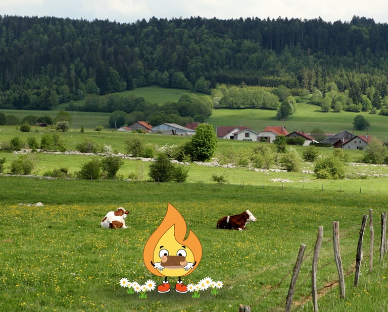 Maxima la petite flamme de MaxThomaBois est en Normandie pour livrer du bois de chauffage 