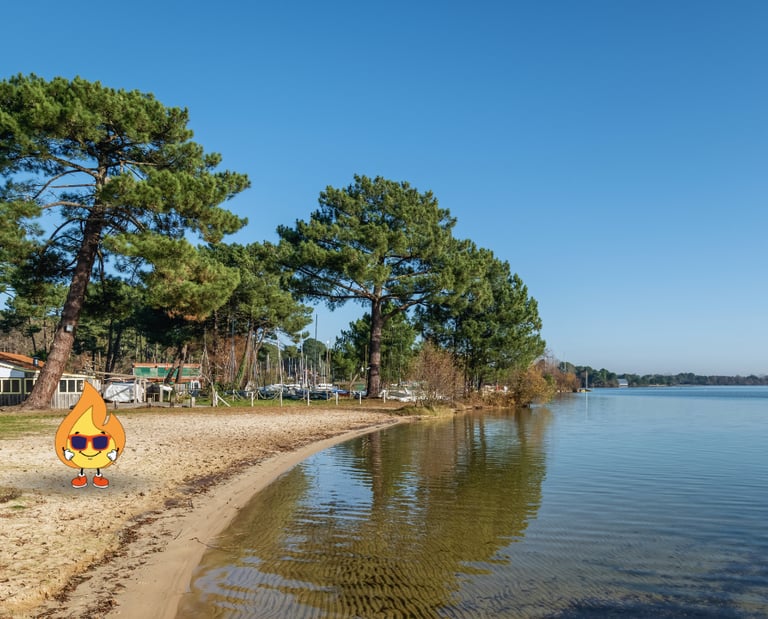 Maxima logo de MaxThomasBois et mascotte bronze en nouvelle aquitaine