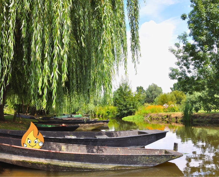 Maxima la petite flamme orange de MaxThomasBois fait de la barque en Loire-Atlantique