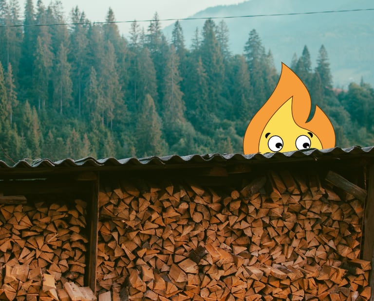 Maxima flamme de MaxThomasBois livre partout en France du Bois de chauffage et en Bourgogne